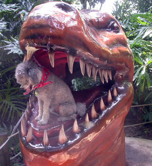 dinodog 3